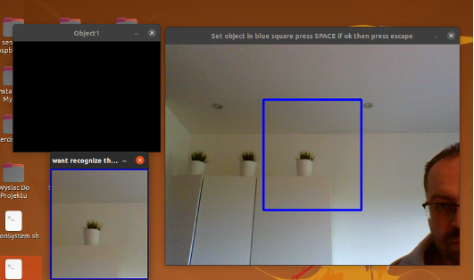 Run Vision System